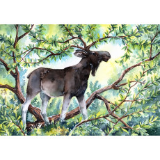 Original Painting - King of the Forest